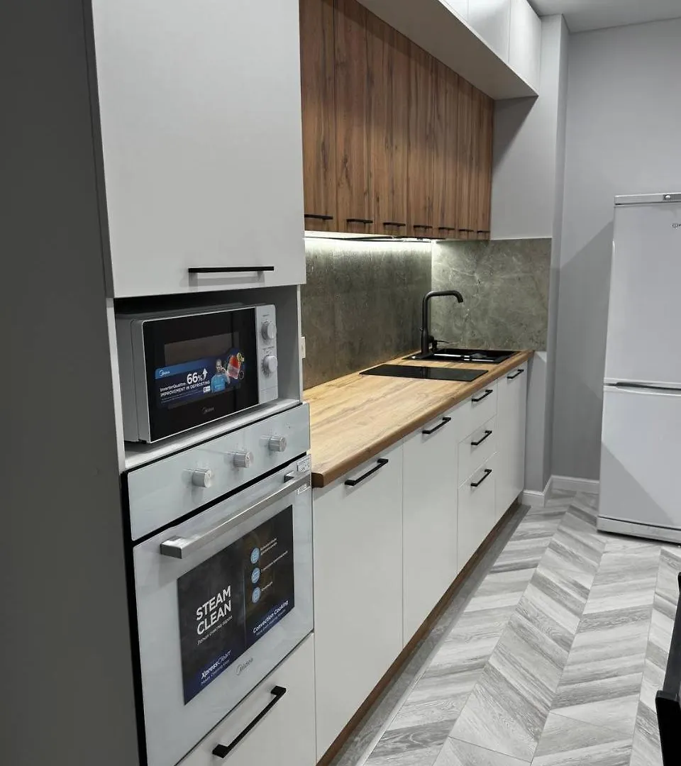 Apartment 1 Комнатная Квартира Центр Города Almaty Kazakhstan
